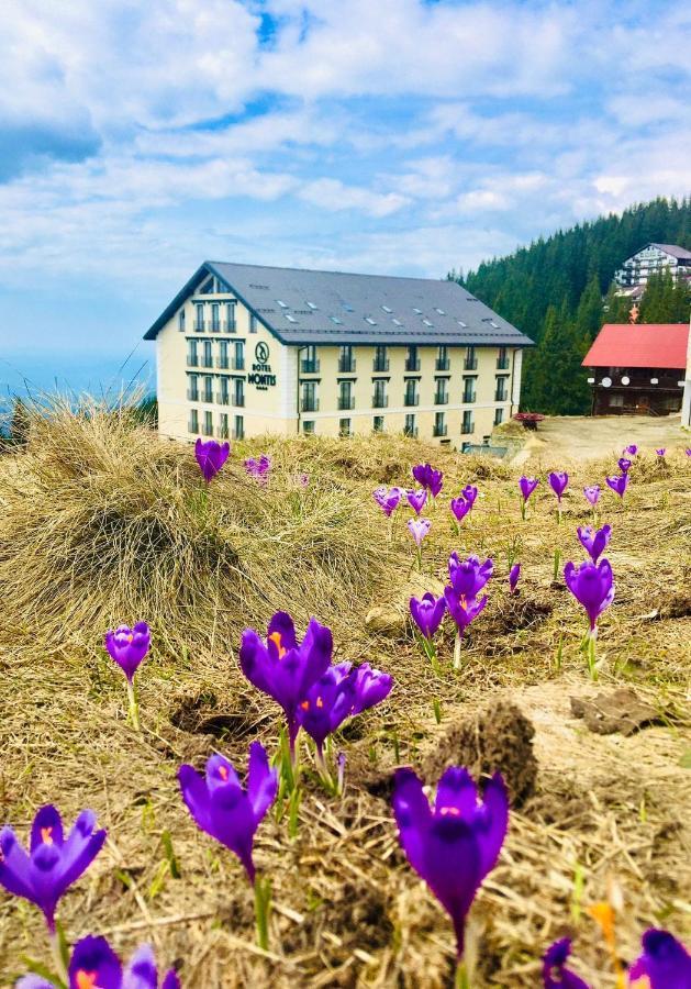 Montis Hotel & Spa Muntele Mic Zewnętrze zdjęcie