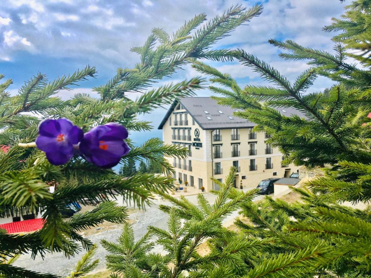 Montis Hotel & Spa Muntele Mic Zewnętrze zdjęcie